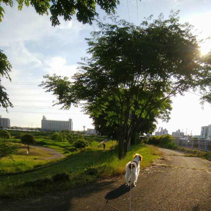 B96f1a20 1baf 4ffd b0bc d950e4a2355e 1559561692193