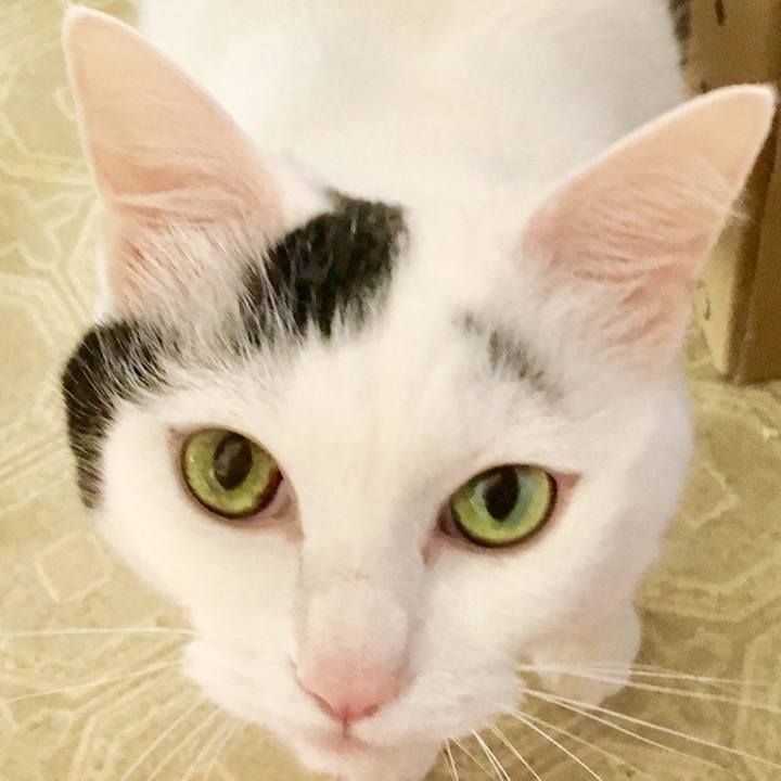 B96f2e2d c0aa 4973 8cd9 f6cc0d2e8652 1560135560250