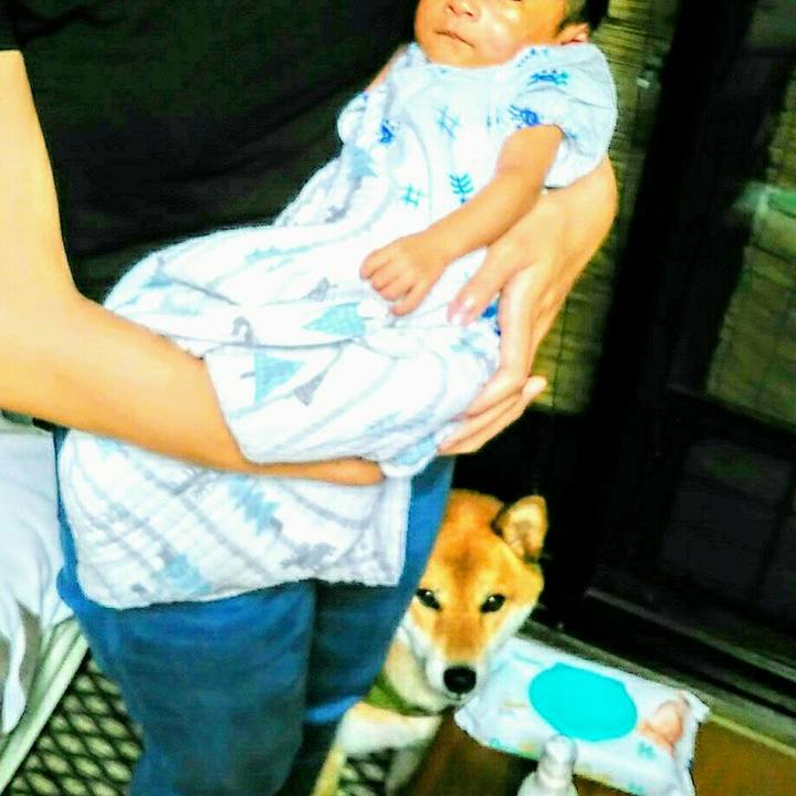 B96f43c1 3caa 41aa a454 c0c1dd07940b 1532451394513