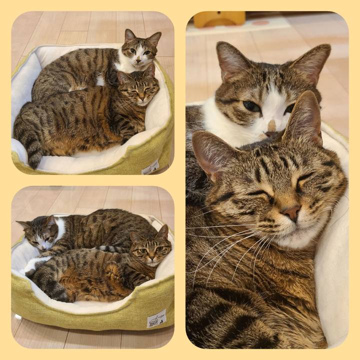 B96fb3ac 0ce2 408c b9bc c505d4729aa9 1671447580599