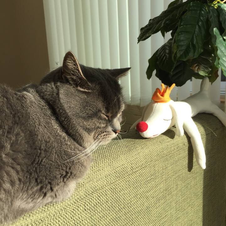 B96fbcd5 c471 4d56 b394 6ec16799f55f 1514517902093