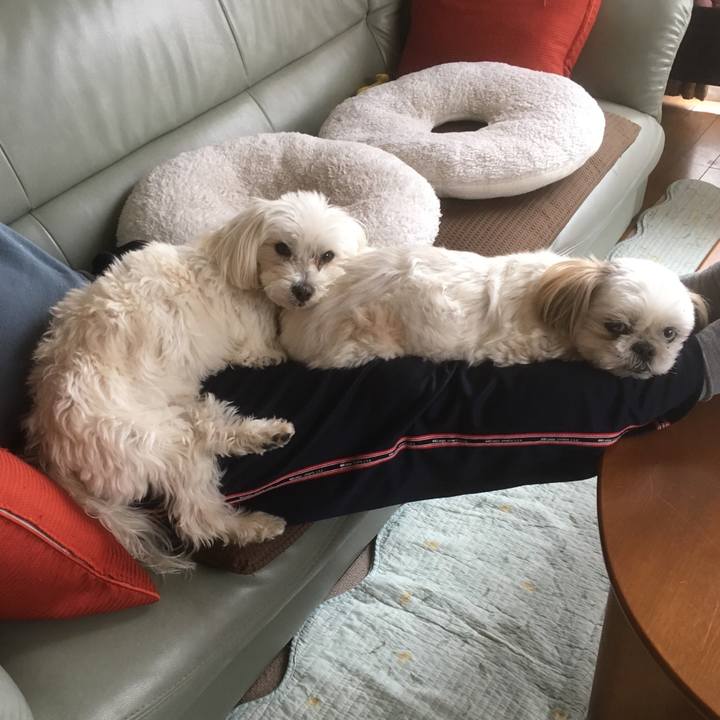 B9702e7c 0c7b 4cda b7b6 7d0e9b87fc85 1523686648990