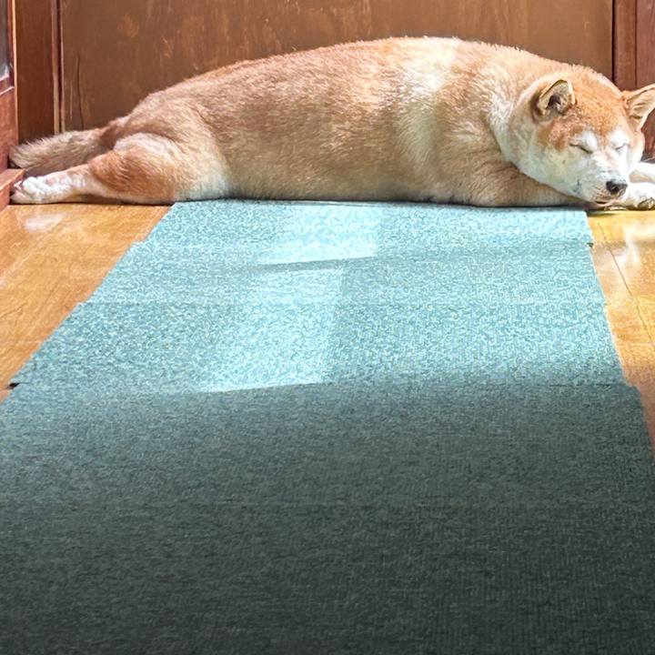 B970666c 3ad9 4d6a 8222 31df833cdd76 1724665067215