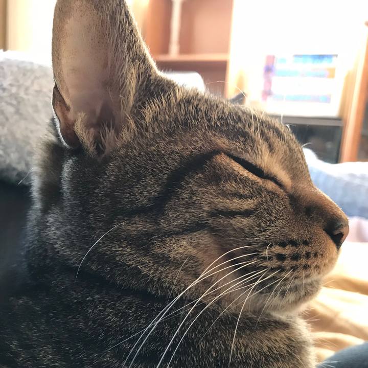 B970748e 15f9 4456 92c4 1dacd42c3e7d 1515109620496