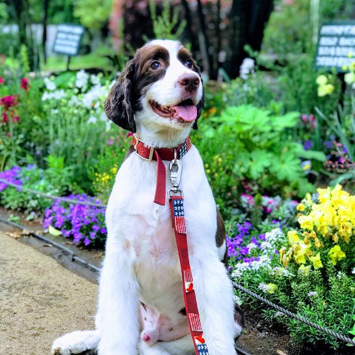 B970b80d d59e 47ba 8dd5 2933185c6239 1524208541891