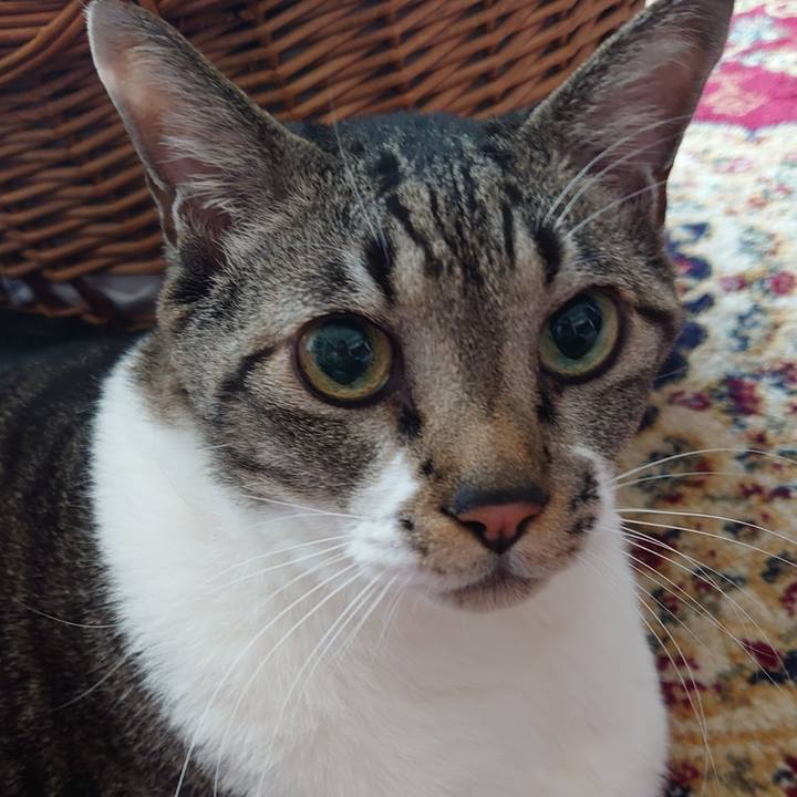 B970cb7b c453 4563 b4bc 429135bf4fd5 1674361690007