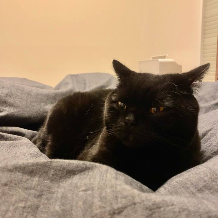 B970d652 a640 4828 8511 18812a47fc95 1674389881889