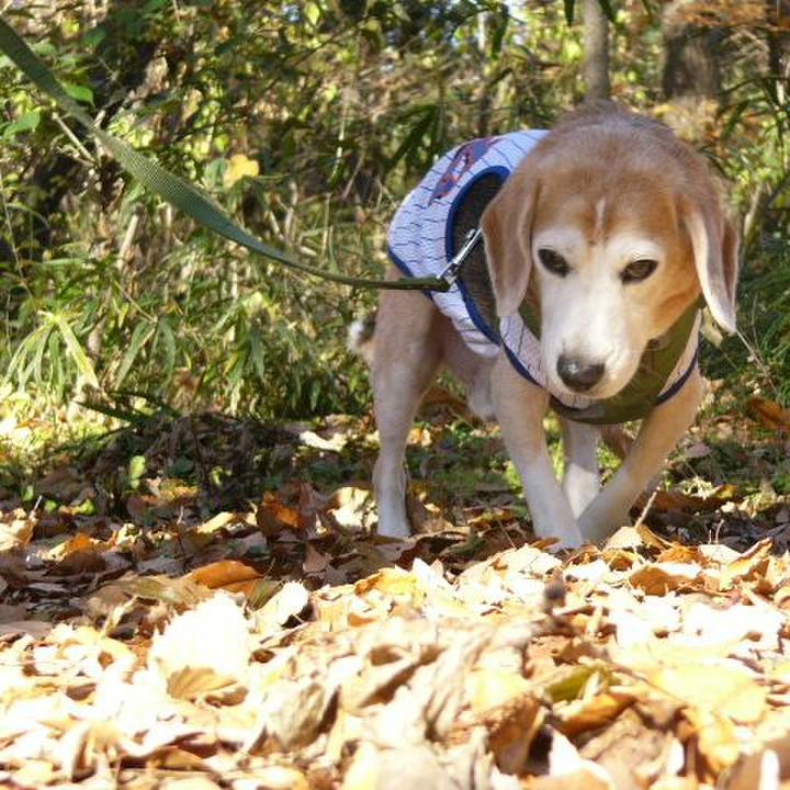 B970f6ed 399b 4afb aaa7 11fd0634e654 1673831340105