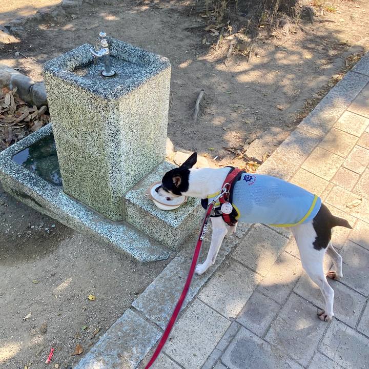 B97109cc 1d3e 4f7d 8be2 1a72a7233c69 1597456483451