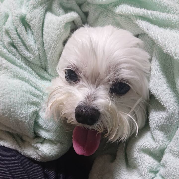 B9711deb b7ce 47cb b2c0 95ea6fc906e4 1619349610127