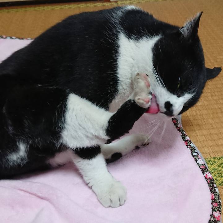 B97126c9 5469 410b b176 6ffb1c3e9a52 1554020479012