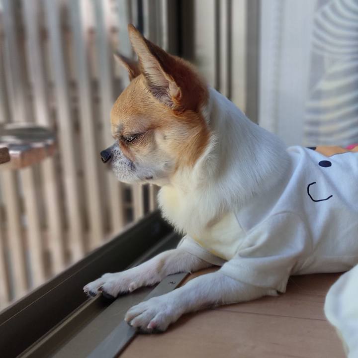 B97168b5 2b03 4730 8a1a b04eeae4c153 1691485484380