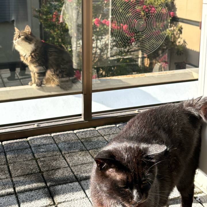 B971731f ea4d 4fab 84df 429d21851723 1753060697418