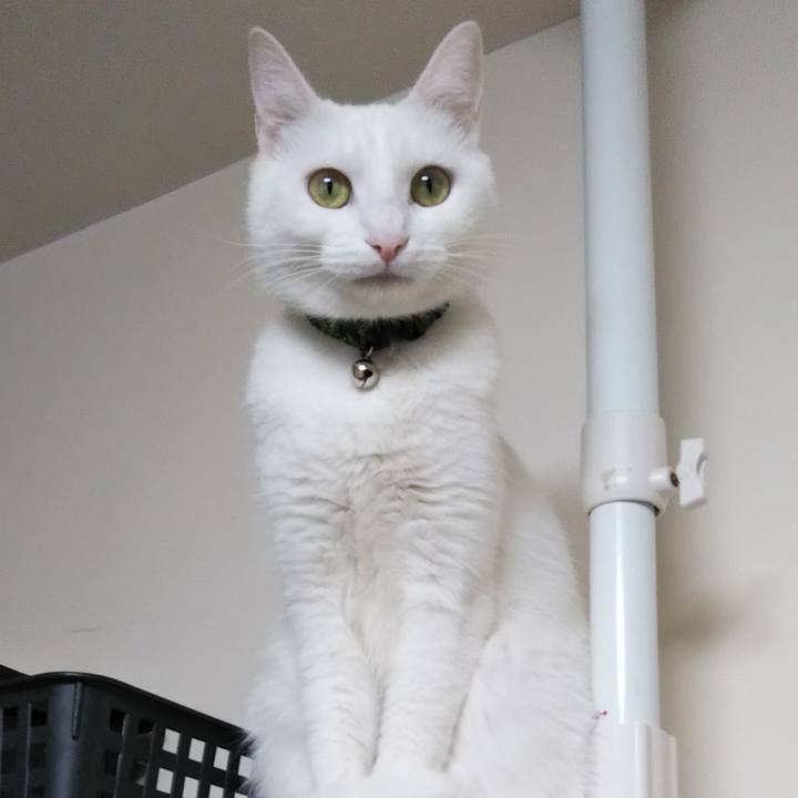 B9717743 d30b 4599 8285 f429c30bf597 1641610704283