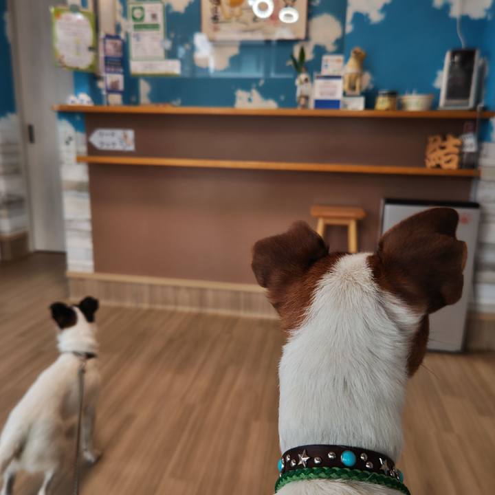 B971bb5f a524 4ec9 b757 a76538843487 1741413689542