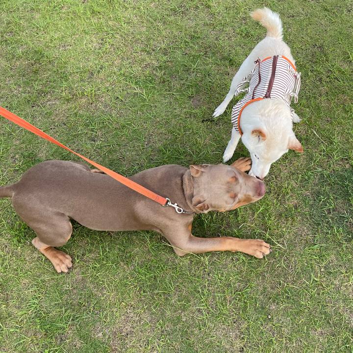 B971d338 16a5 46fc 8de5 d48eff9699cc 1656505692840