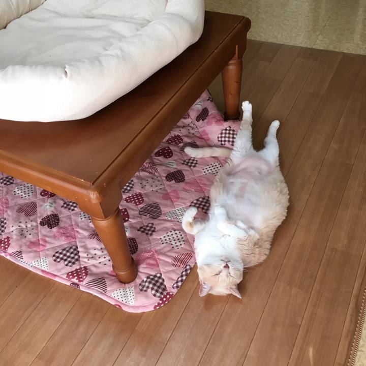 B971d61f a9e0 497b 813a 897fefd3542a 1515485957741