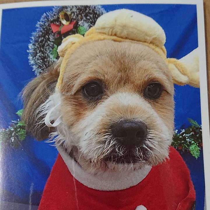 B971d655 34f9 4dc6 8192 04a25415021b 1575265553107