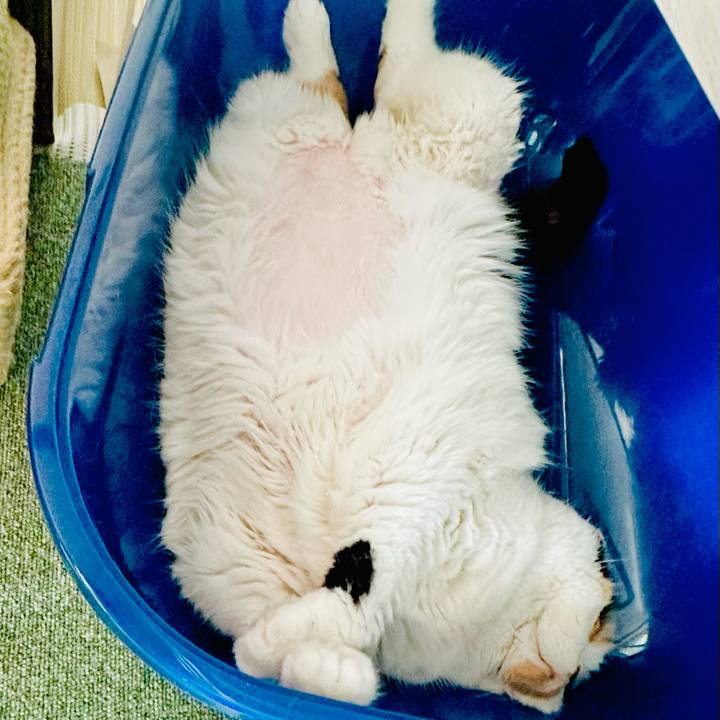 B9720268 ed83 4edd a6a0 89e1646bca5d 1722835104361