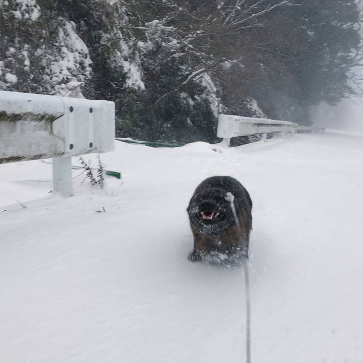 B9723d02 8c3c 4dc2 b070 fe7a56c5994a 1516936807697