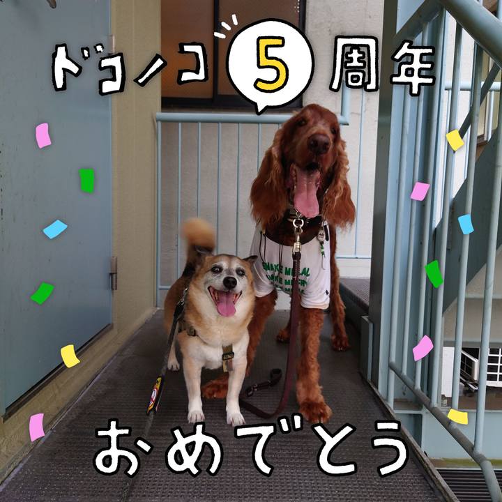 B9723d90 e84f 462c af2c aac0c0975aa9 1622898095888