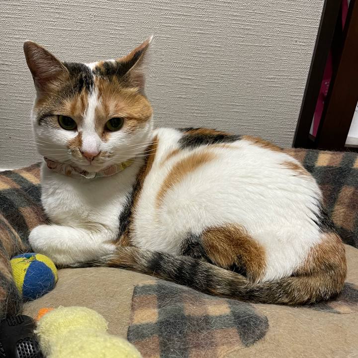 B9726961 65ce 4ede 9139 045b7a7a9de5 1649256294041