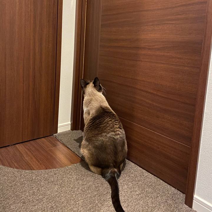 B97271f3 eb4c 44ef 98d5 99d34442f344 1585691029299