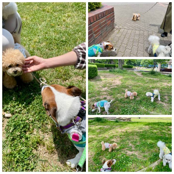 B9727afb b63c 49ec 8a48 b06798724548 1748045258479