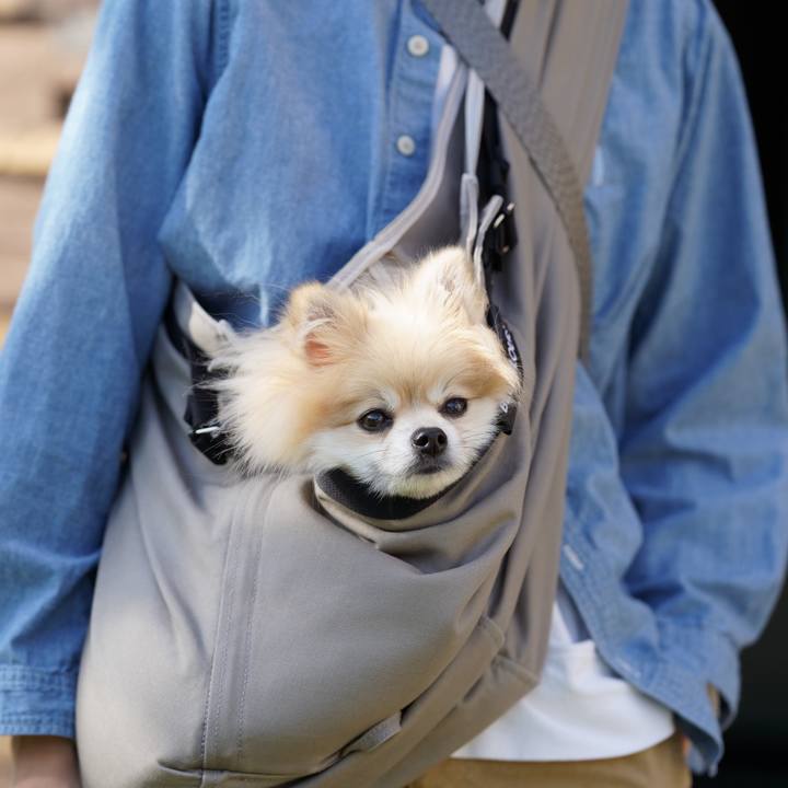 B972a97f 48aa 4815 aabe 6a847e95ca58 1758717933778