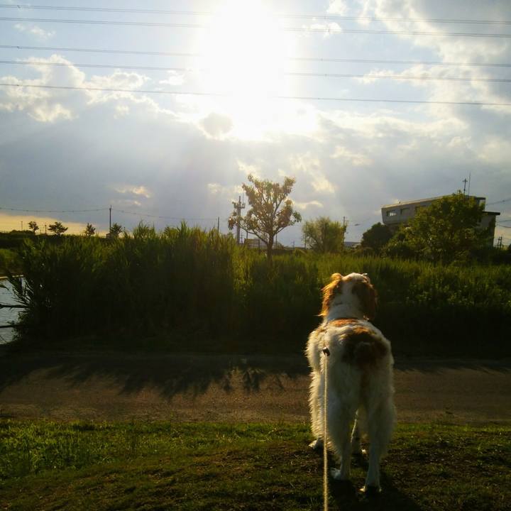 B9730494 0135 4229 b44c 25290ec5657c 1561376086294