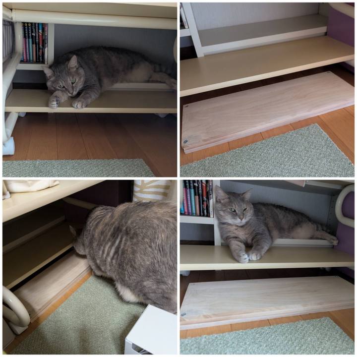 B9730eae fe0f 40a2 a0ee 020469fe9397 1752996415126