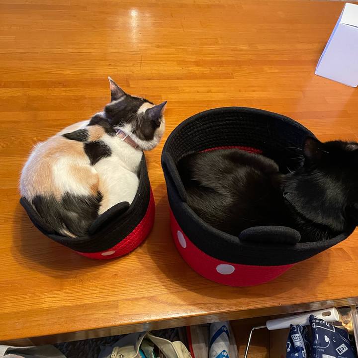 B9732a02 3adf 456c b3de 8e31a4d3d417 1739777565810