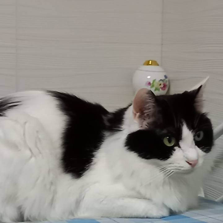 B9734f91 da67 4b23 982d a26a57e64401 1624394223129