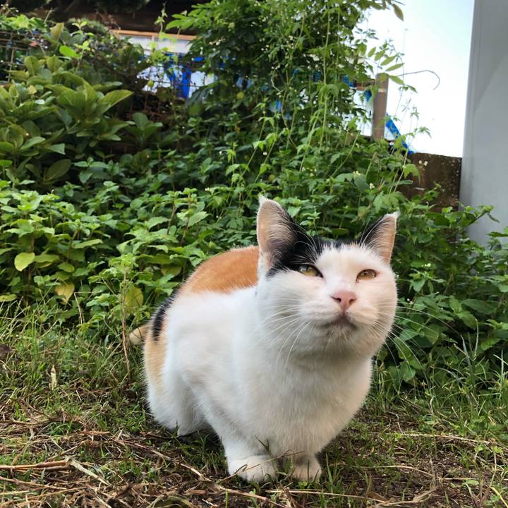 B973509c 4a9c 4377 91b9 f2ecaf4ef8d8 1600679711354