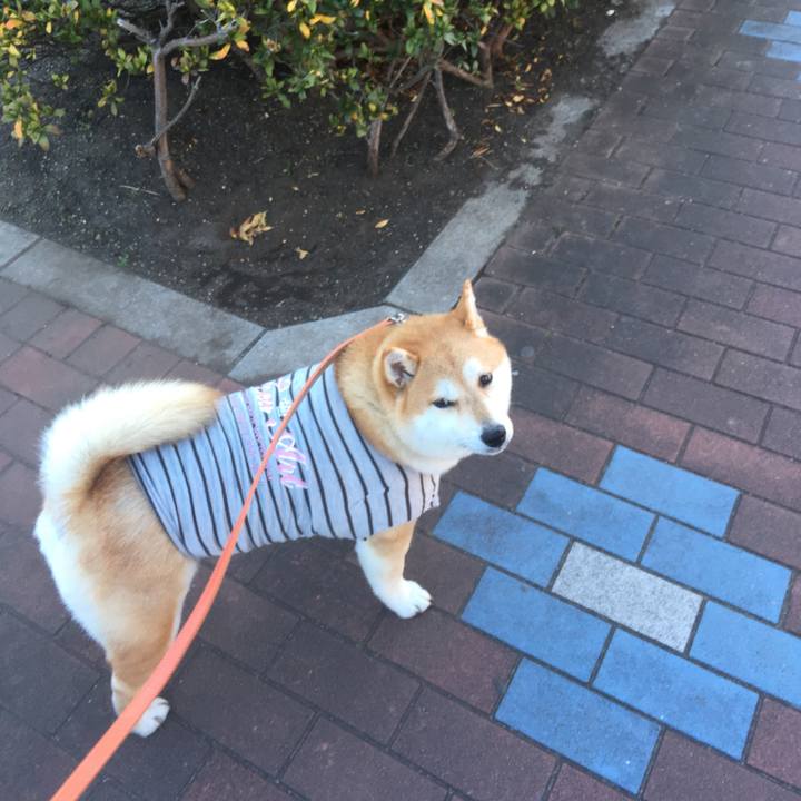 B97392e2 f889 4fc0 b2ab 90903b7bff74 1547016982840