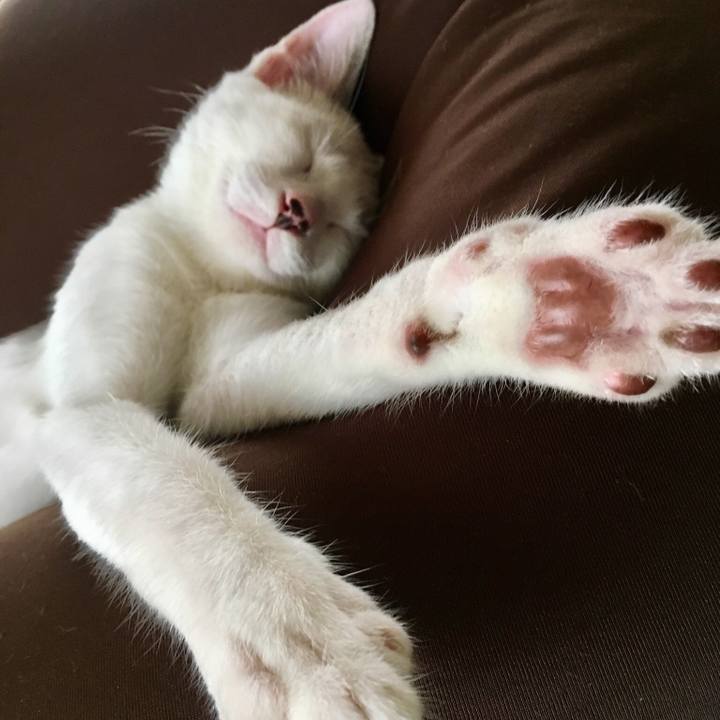 B9739cdb 41f6 4dd7 939c 6b4e6fa7edb0 1534399906574