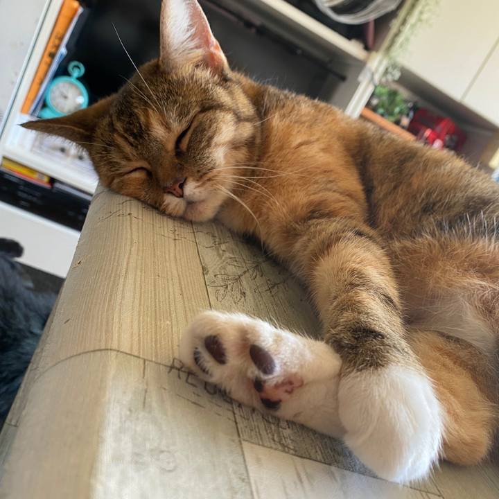 B973c03c 62c3 44b5 90cb 50eb8e3f1028 1596422474543