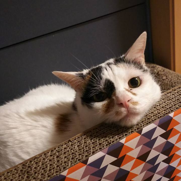 B973c6d3 5f1f 4899 89b4 e60db3b29456 1566558365280