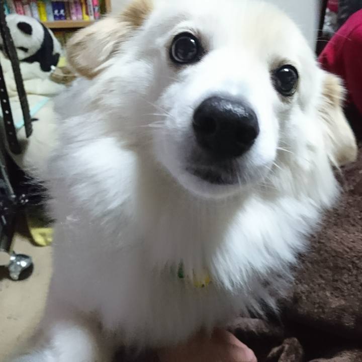 B973c9db 8f8e 4d3f 974d 5abc4aee0dc3 1513680628416