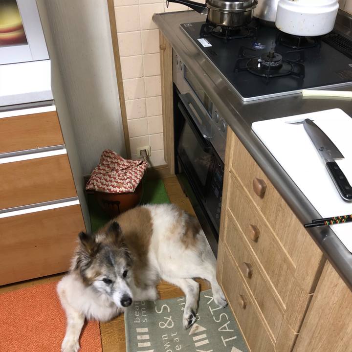 B973e420 02da 4bdd b1eb 0ff712f7f12a 1531913424350