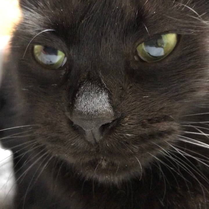 B973f730 da17 4c31 888d db03261e571b 1586860970904