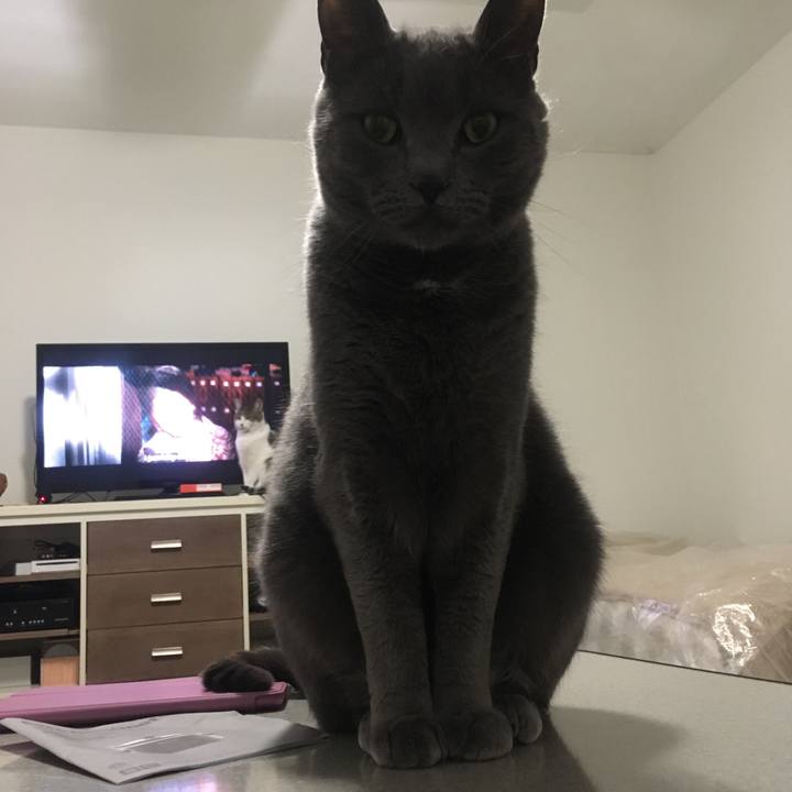 B97413d1 5946 4060 abfe ed44ff6d5384 1692923581114