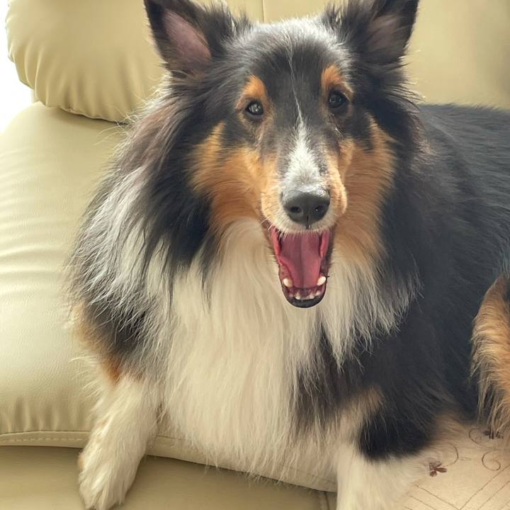 B9741791 cf50 41bf 97f5 733dd89b758f 1614721923403