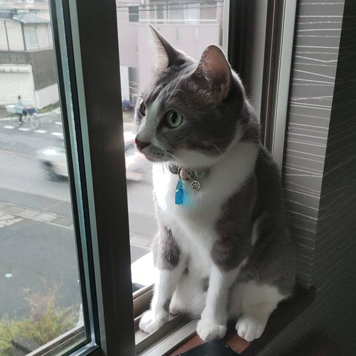 B9741f06 7d7c 4f0b b2c1 38ceb90af3e5 1695334254650