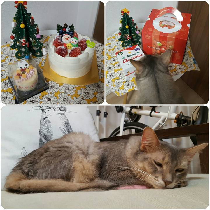 B9745441 ac0d 4870 9c81 0aec2092ee2f 1545650639938