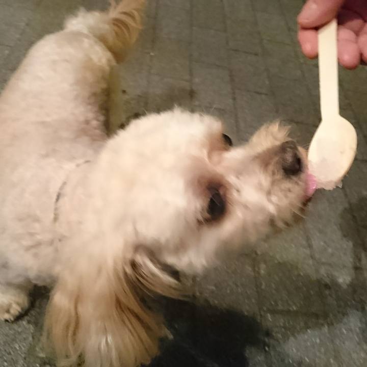 B97454b1 157f 44aa a505 7cdd4c63cc42 1533900029745