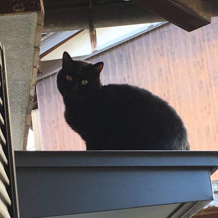 B9748bdf e175 4bae 92c9 d6c1dd6ed98f 1545408249879