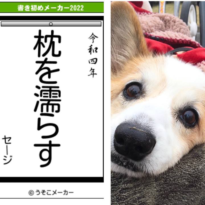 B974e8fd b5e4 4ebe 9ed5 5f34d4f0d0cf 1641179072208