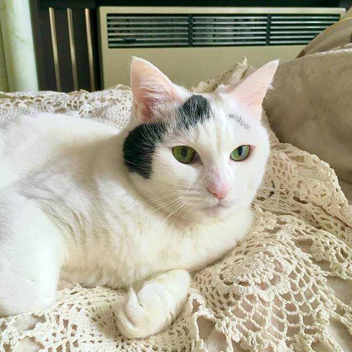 B9752457 64cf 4ff8 b8d3 5adbb0420112 1608524795723