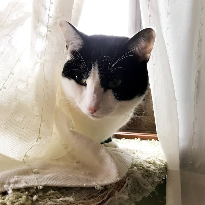 B975311d 1399 4ee2 ad5c 7cd7f366a96c 1518273966066